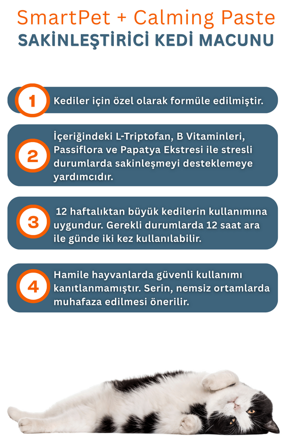 Görsel küçük resim 3