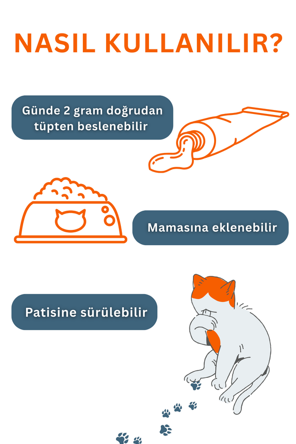 Görsel küçük resim 6