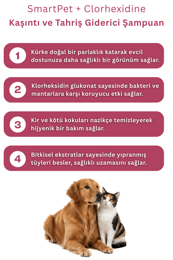 Görsel küçük resim 3