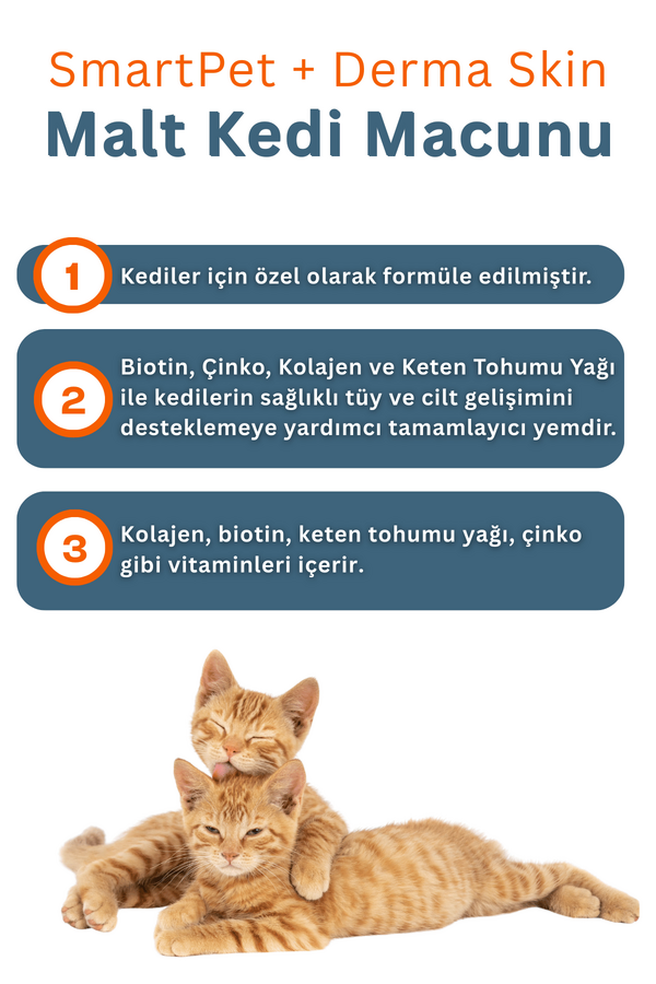 Görsel küçük resim 3