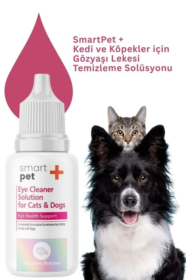 Görsel küçük resim 5