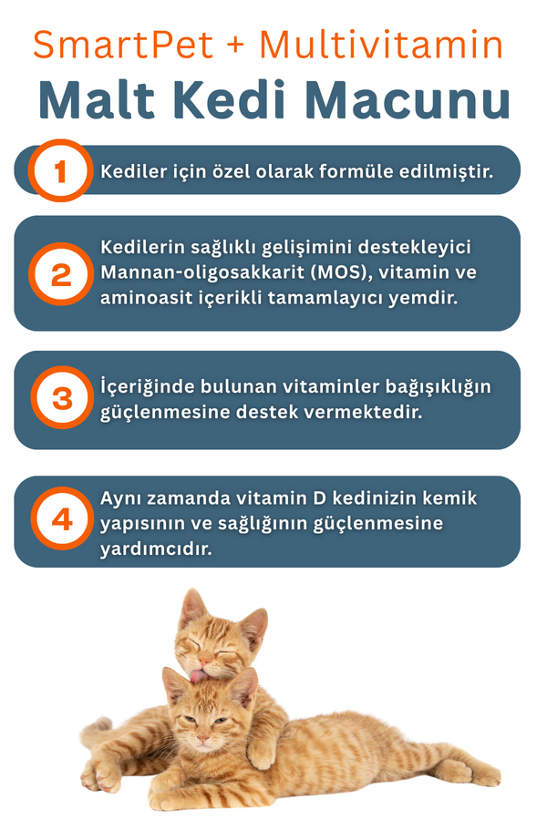 Görsel küçük resim 3