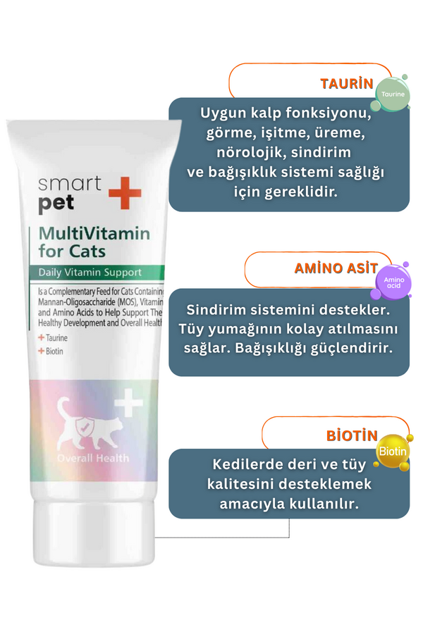 Görsel küçük resim 4