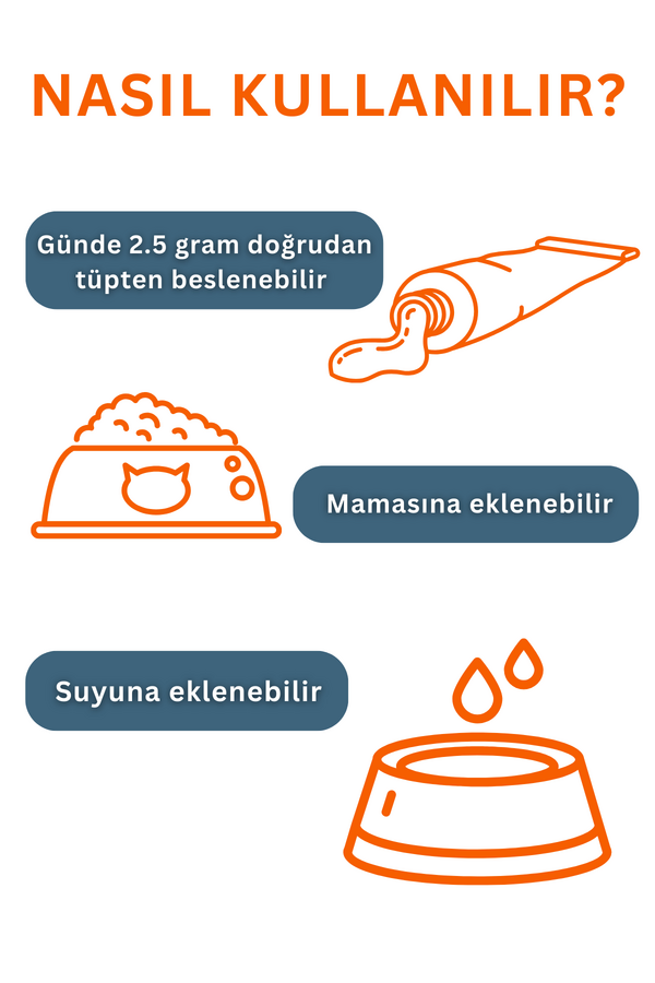 Görsel küçük resim 6