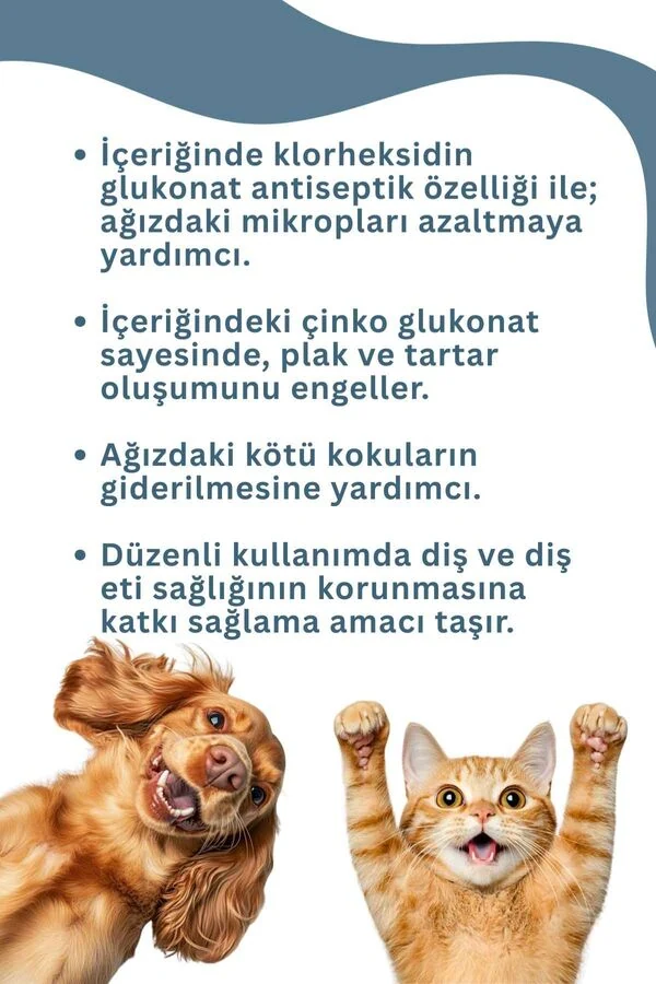 Görsel küçük resim 3