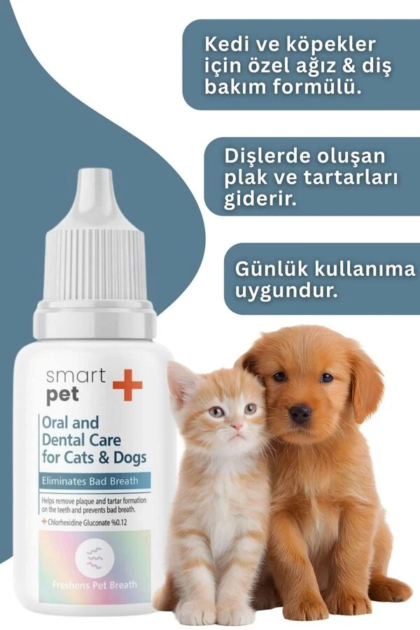 Görsel küçük resim 4