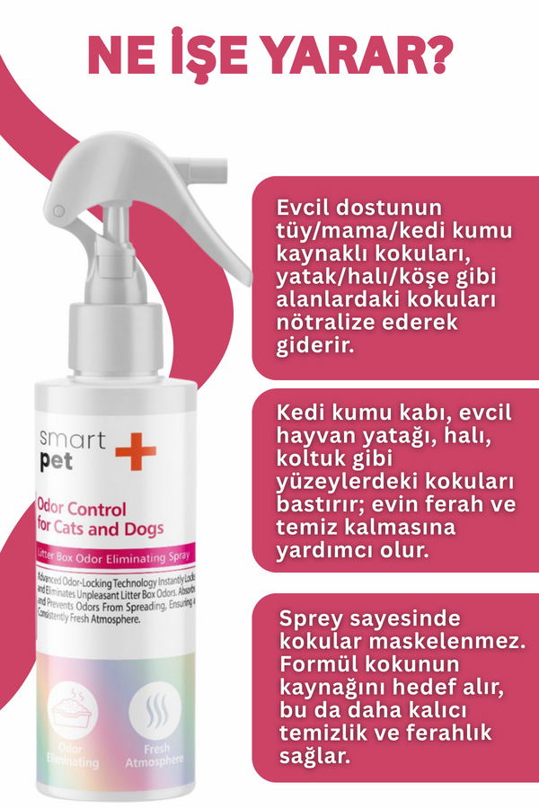 Görsel küçük resim 3