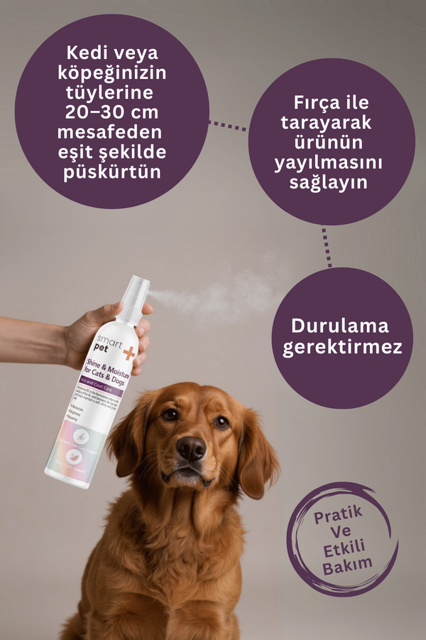 Görsel küçük resim 5