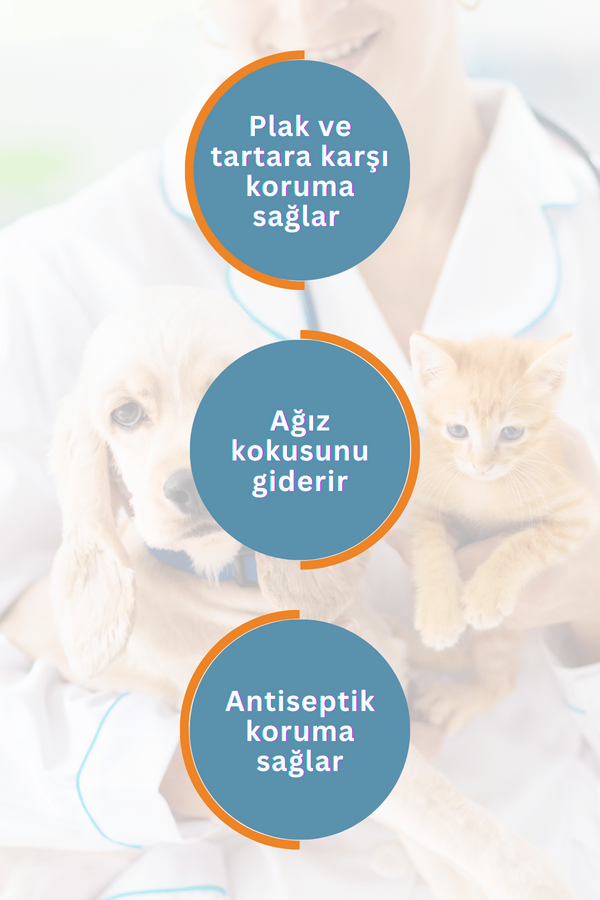 Görsel küçük resim 6