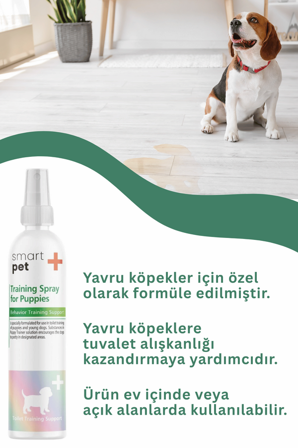 Görsel küçük resim 3
