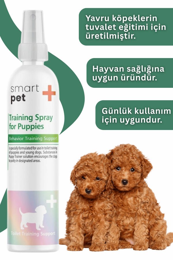Görsel küçük resim 2