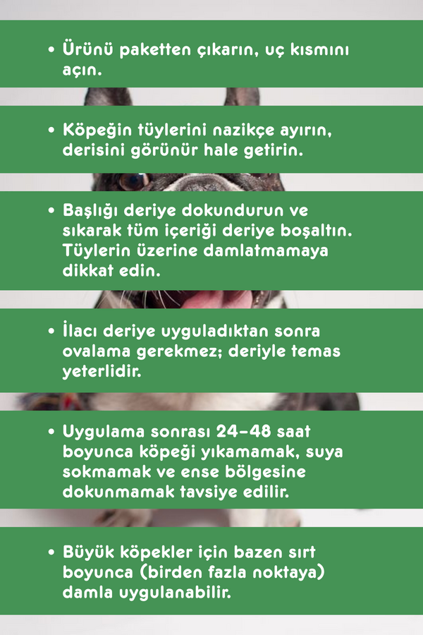 Görsel küçük resim 2
