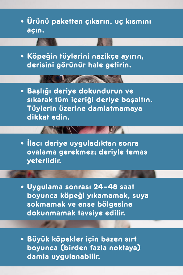 Görsel küçük resim 2