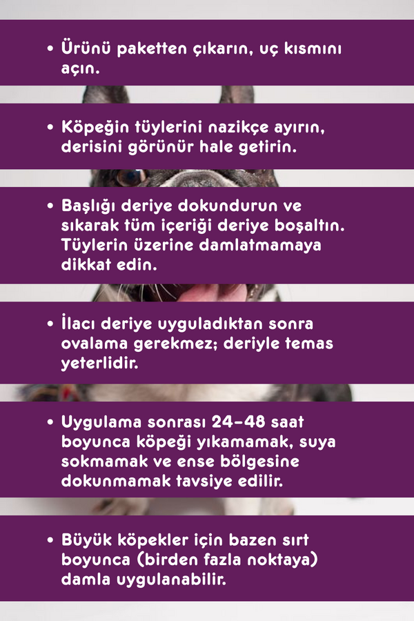 Görsel küçük resim 3