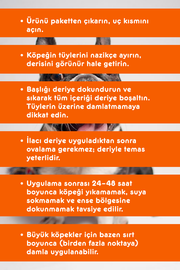 Görsel küçük resim 2