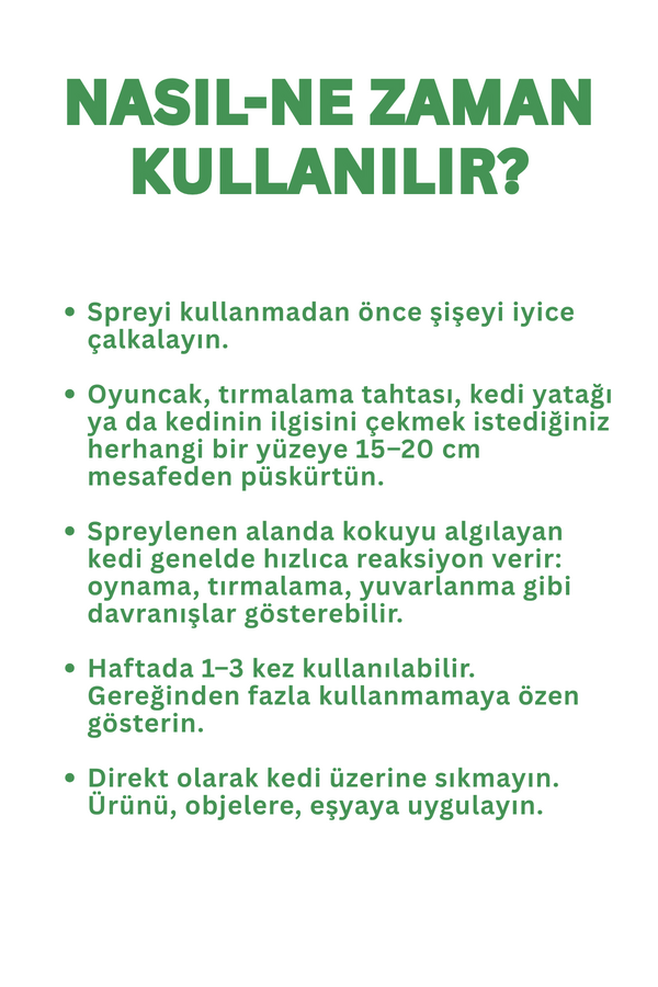 Görsel küçük resim 3
