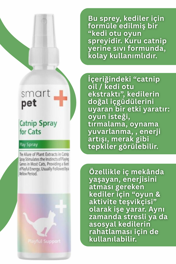 Görsel küçük resim 4