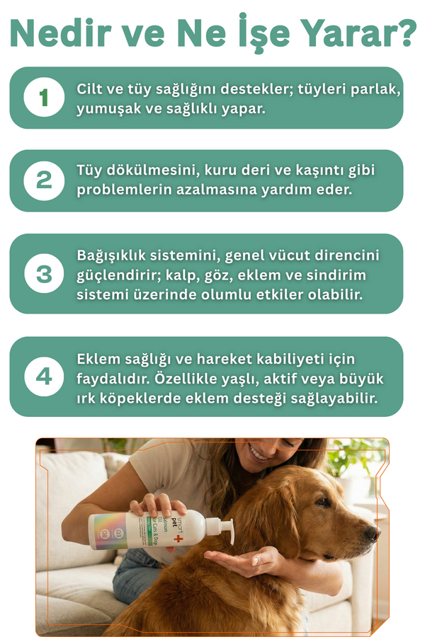 Görsel küçük resim 2