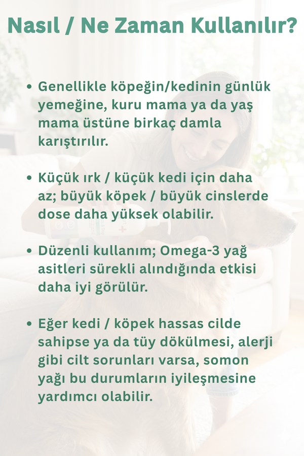 Görsel küçük resim 3