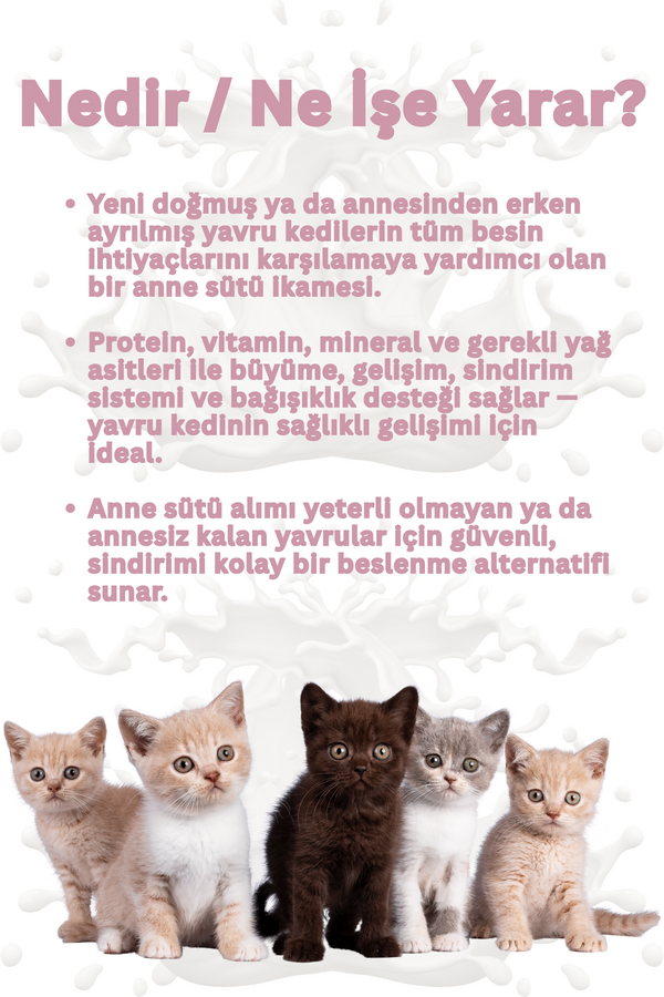 Görsel küçük resim 3
