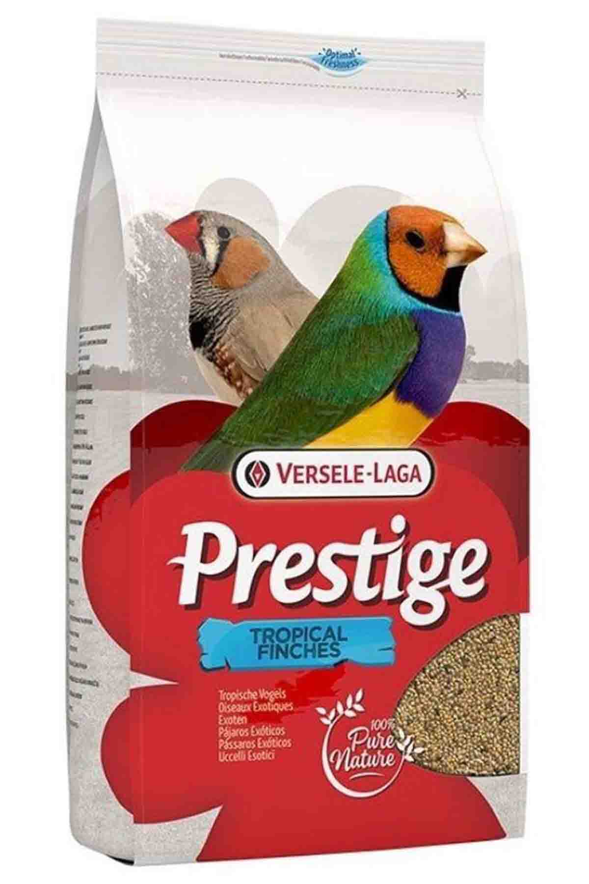 Görsel küçük resim 2