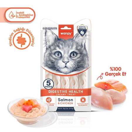 Wanpy Digestive Health Sindirim Sağlığı Destekleyici Somon ve Tavuklu Krema Kedi Ödülü 5x14gr