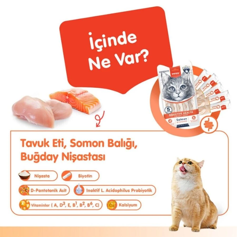 Görsel küçük resim 3
