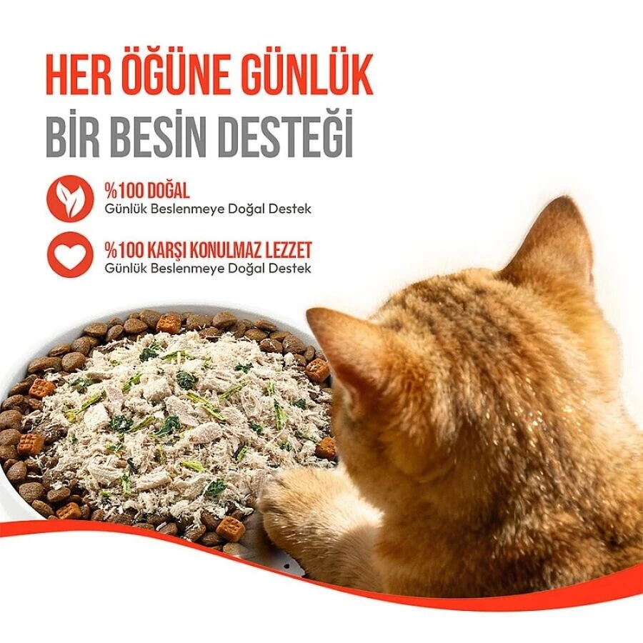 Görsel küçük resim 7