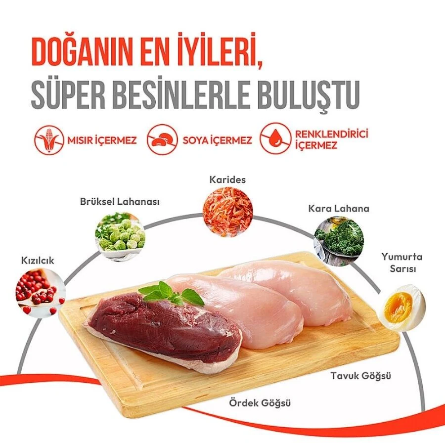 Görsel küçük resim 8