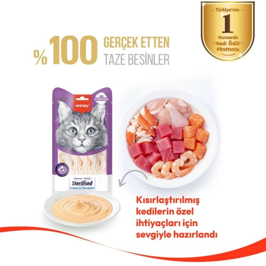 Görsel küçük resim 6