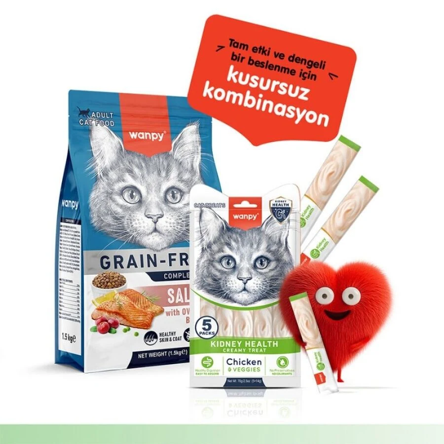 Görsel küçük resim 6