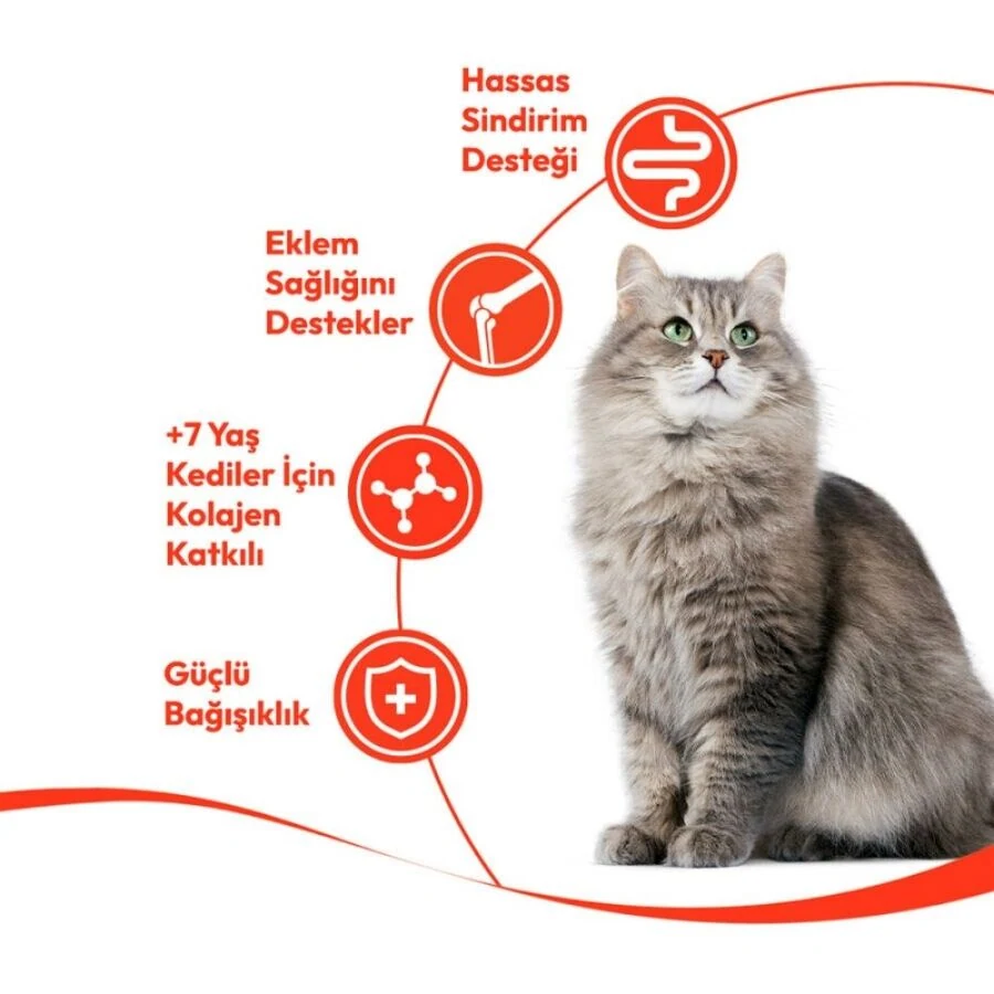 Görsel küçük resim 3