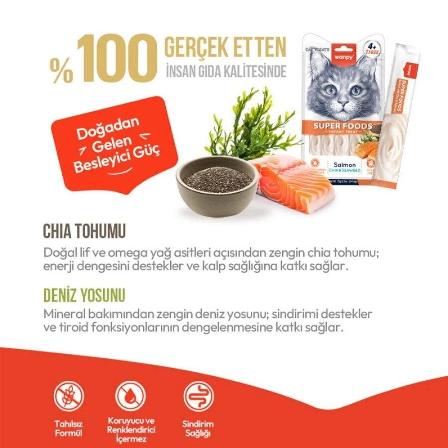 Görsel küçük resim 5