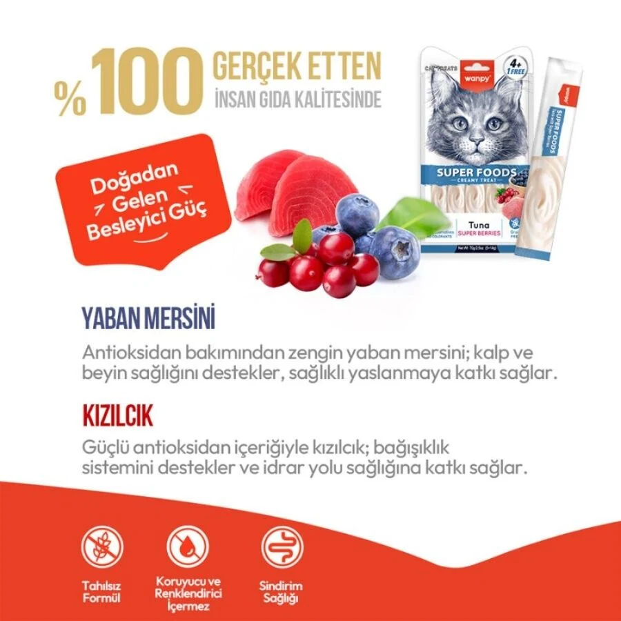 Görsel küçük resim 5