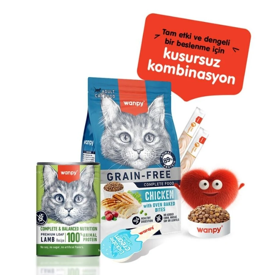 Görsel küçük resim 5