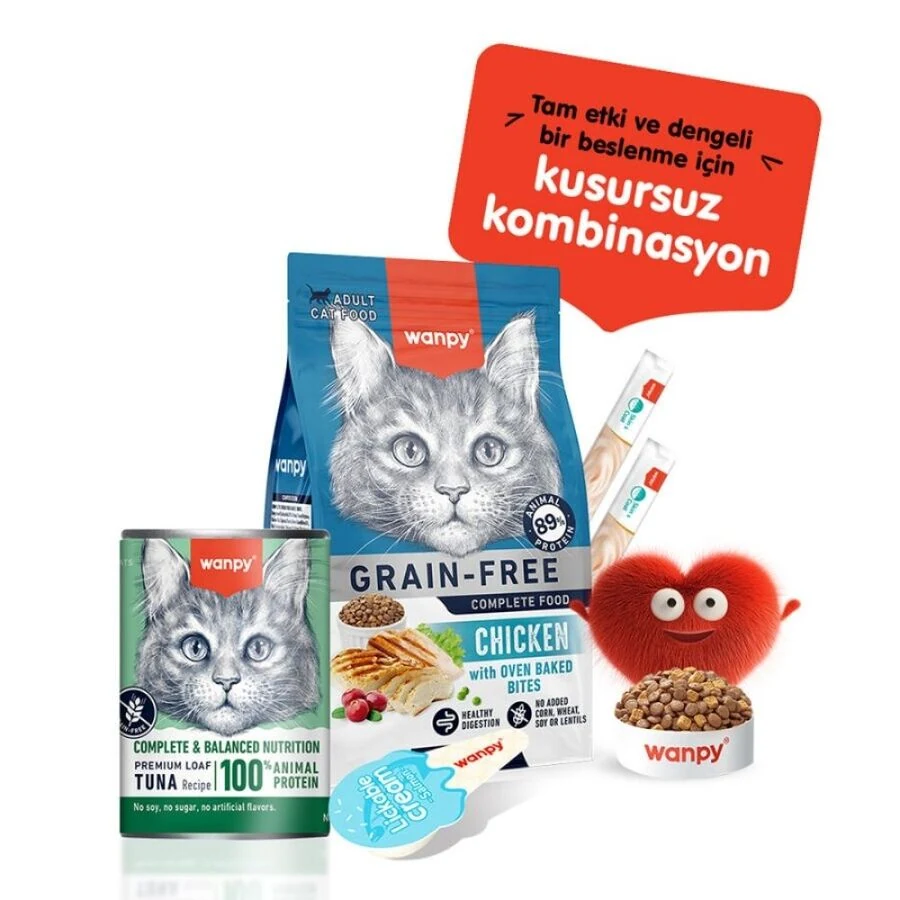 Görsel küçük resim 4
