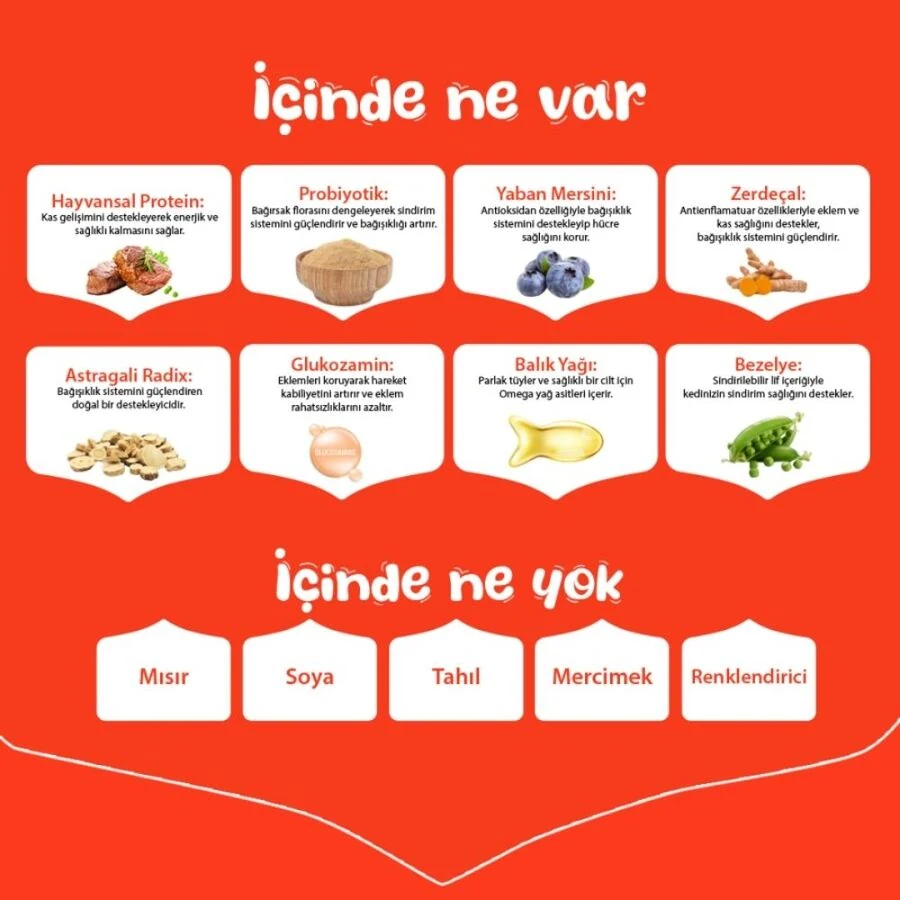 Görsel küçük resim 3