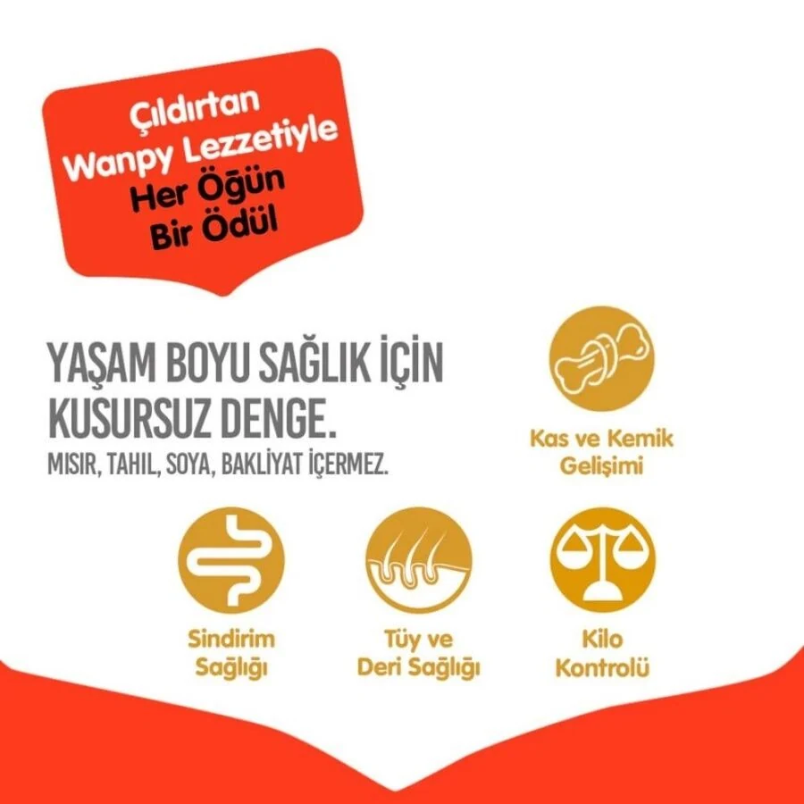 Görsel küçük resim 5