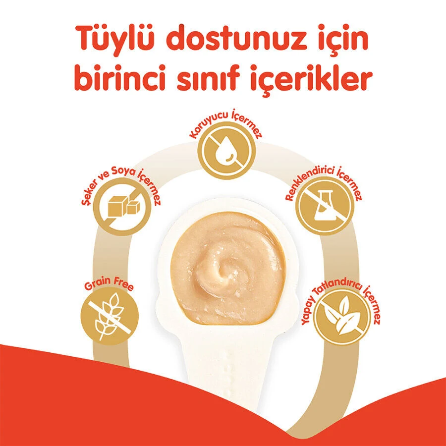 Görsel küçük resim 2