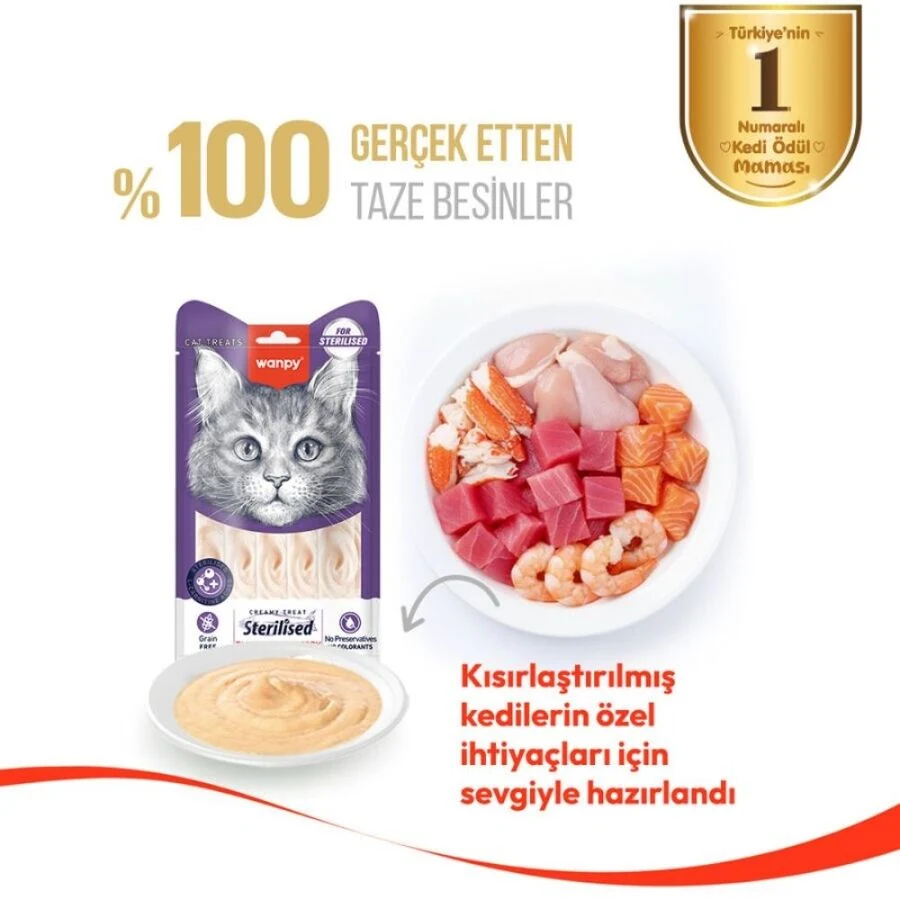 Görsel küçük resim 5