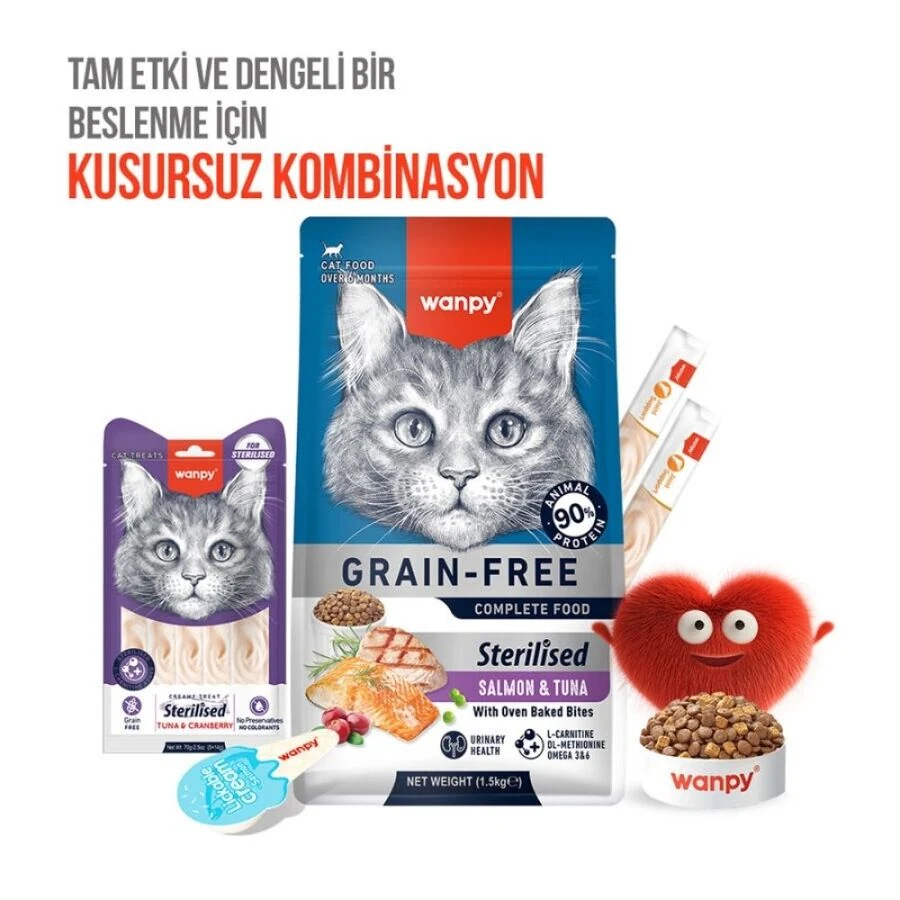 Görsel küçük resim 6