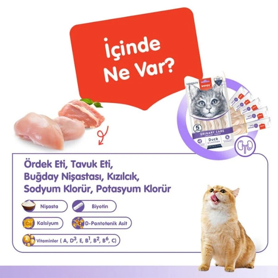 Görsel küçük resim 2