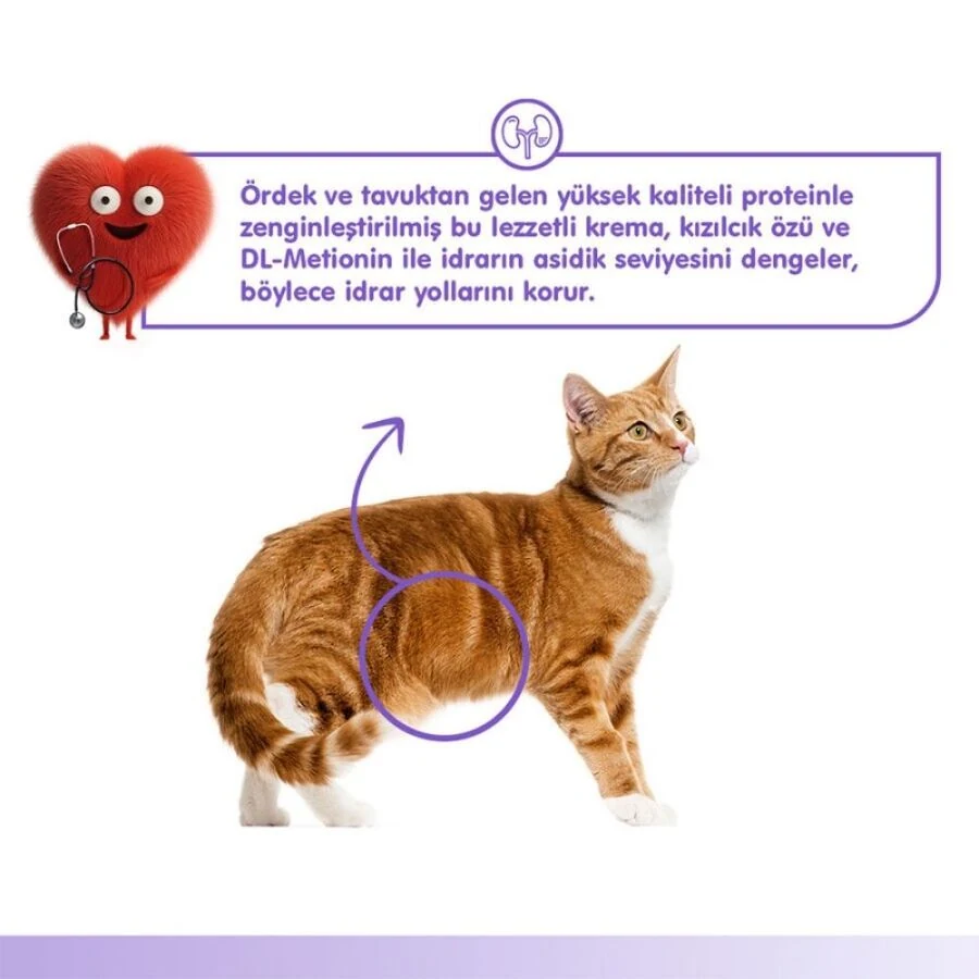 Görsel küçük resim 4