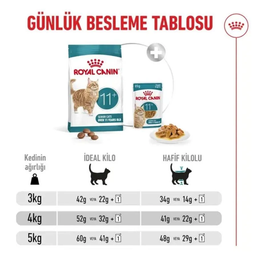 Görsel küçük resim 3