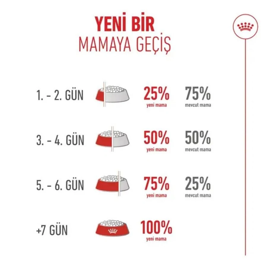 Görsel küçük resim 4