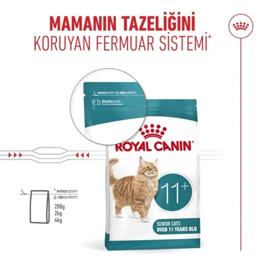 Görsel küçük resim 5