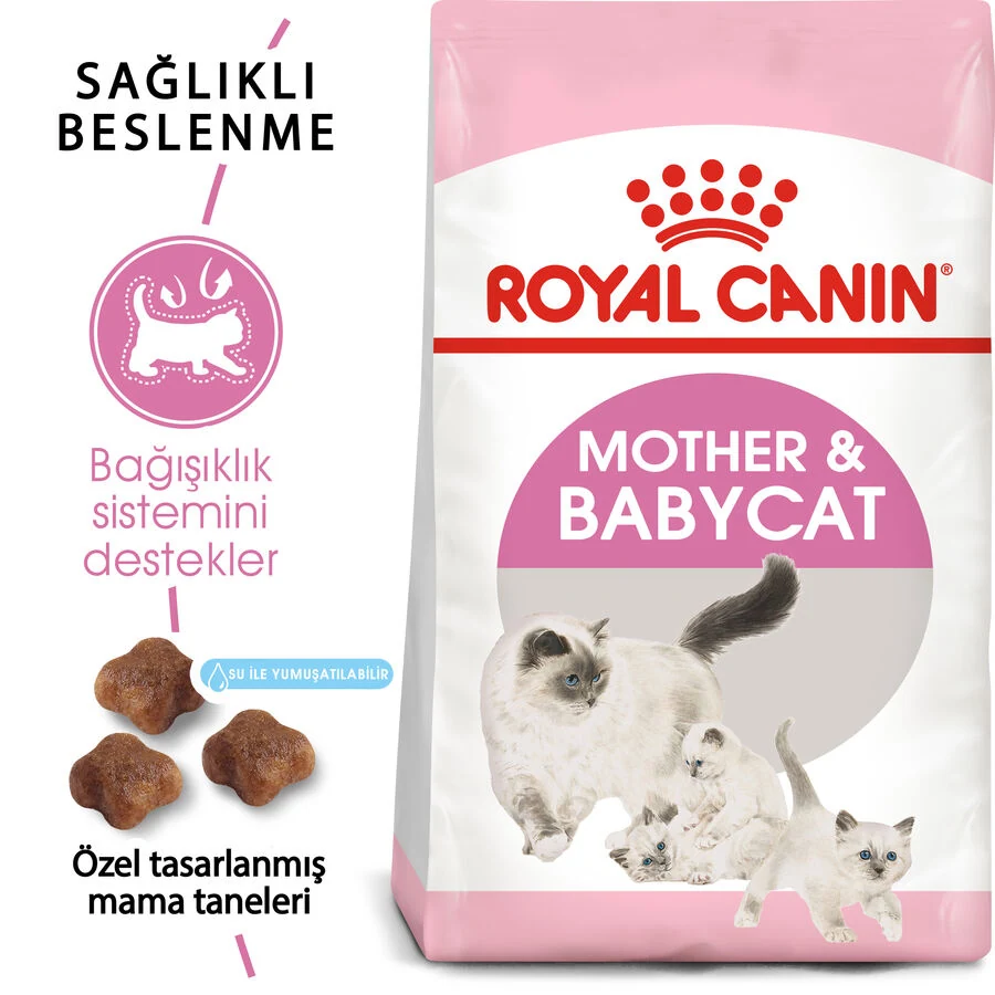Görsel küçük resim 4