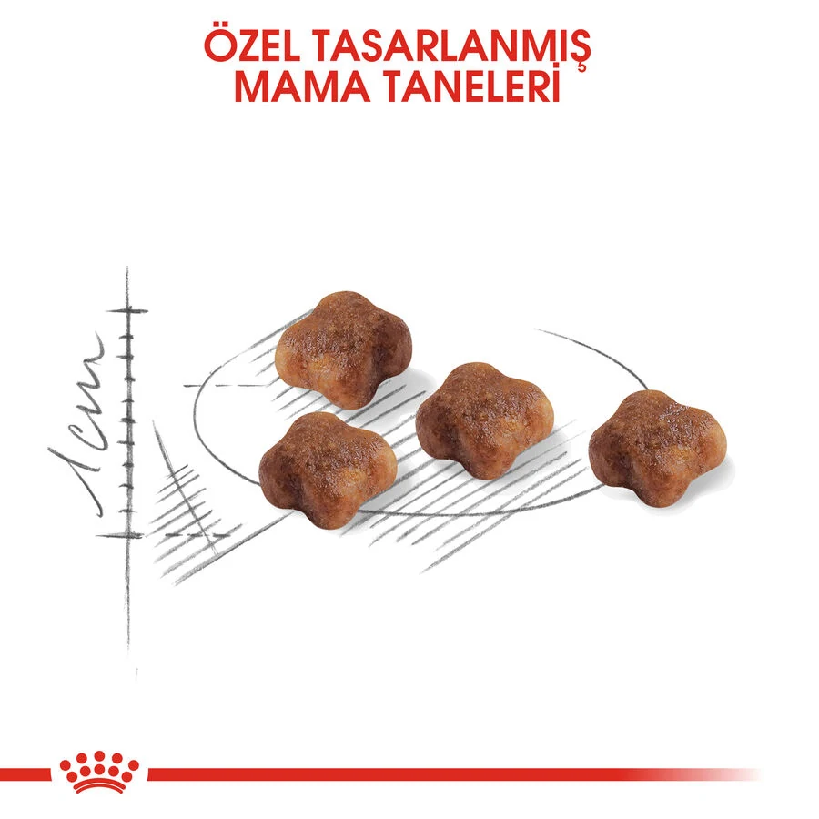 Görsel küçük resim 5