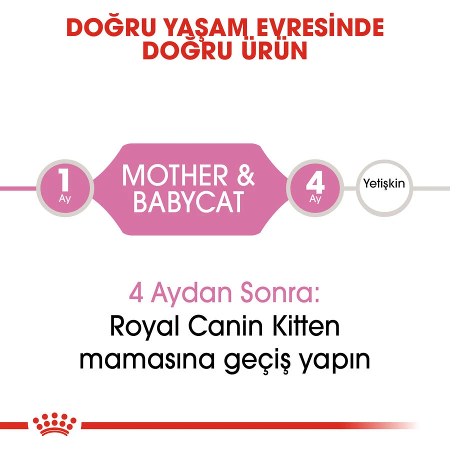 Görsel küçük resim 6