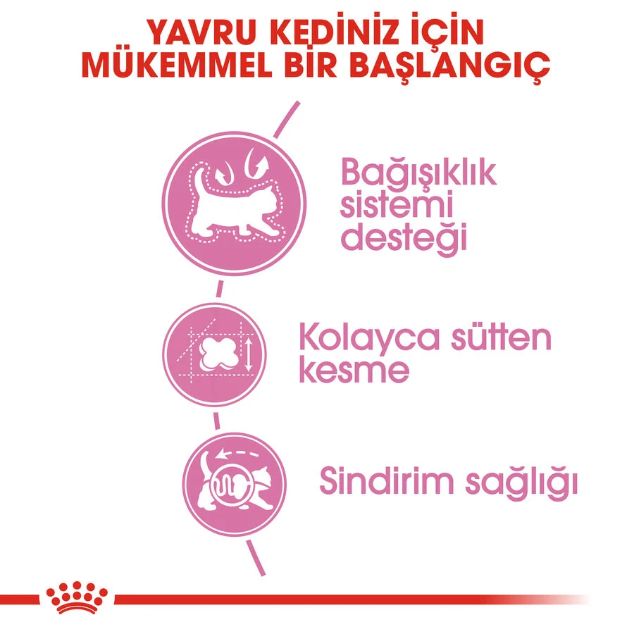Görsel küçük resim 7